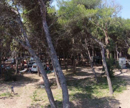 campeggiofrassanito it home 022