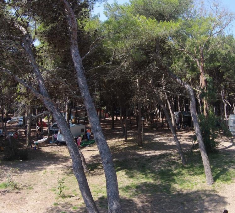campeggiofrassanito it caravan-e-piazzole 011